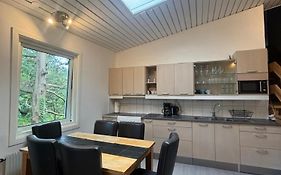 Fint Parhus